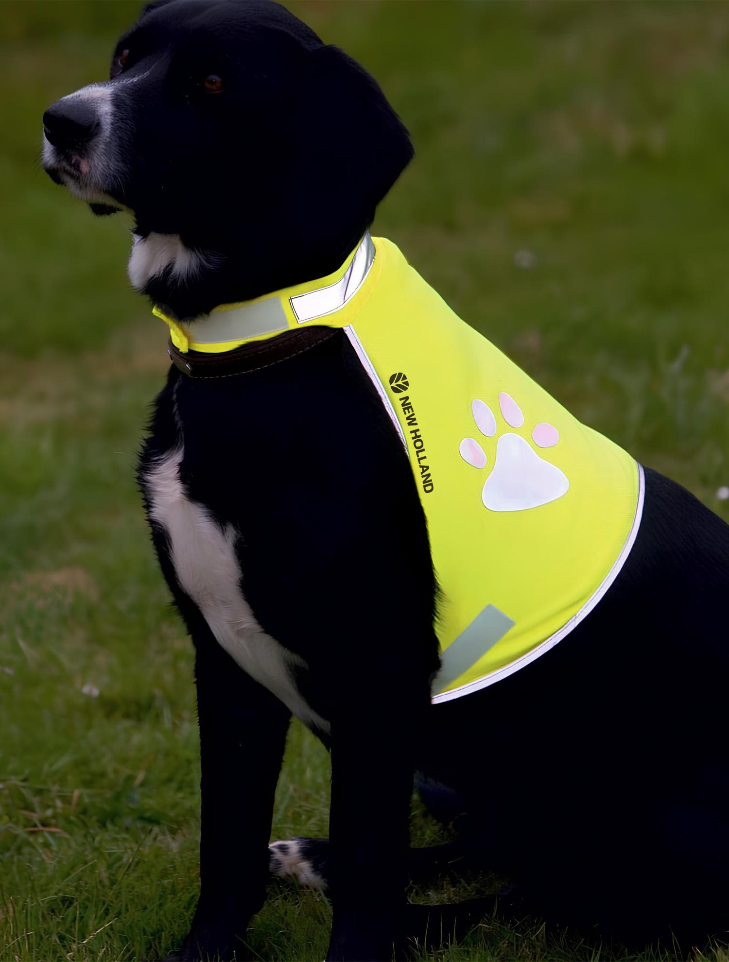 Hundewarnweste