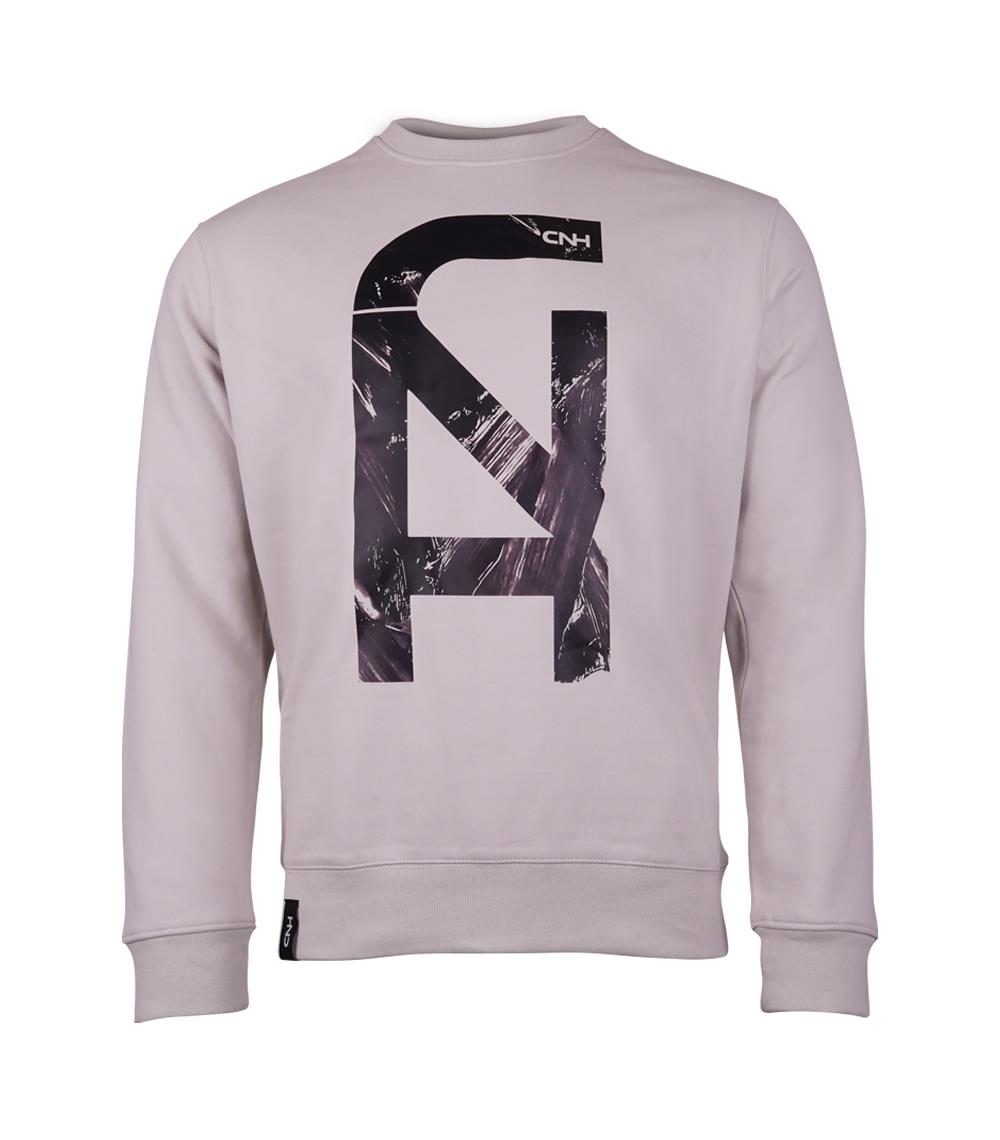 Sweatshirt "Rays", grau, (Herren)