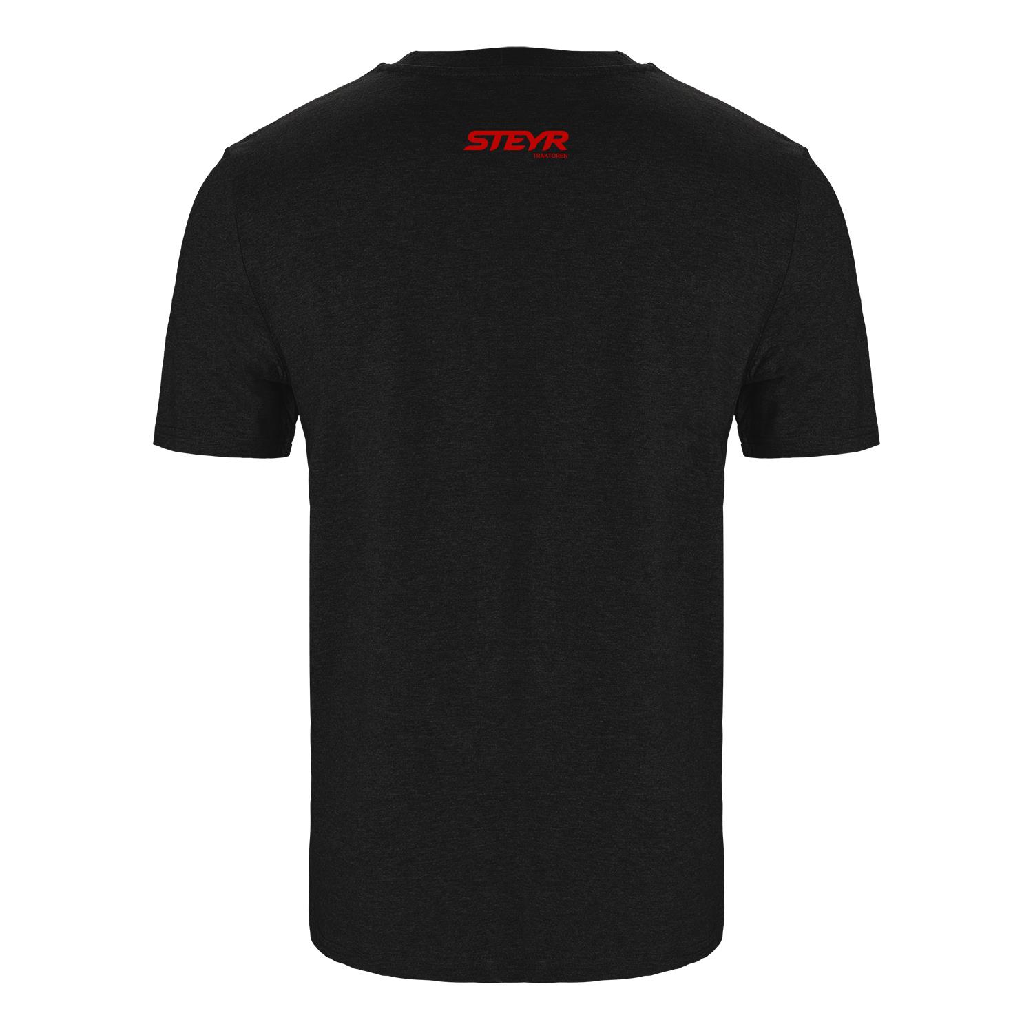 T-Shirt "Friends of Steyr" , grau