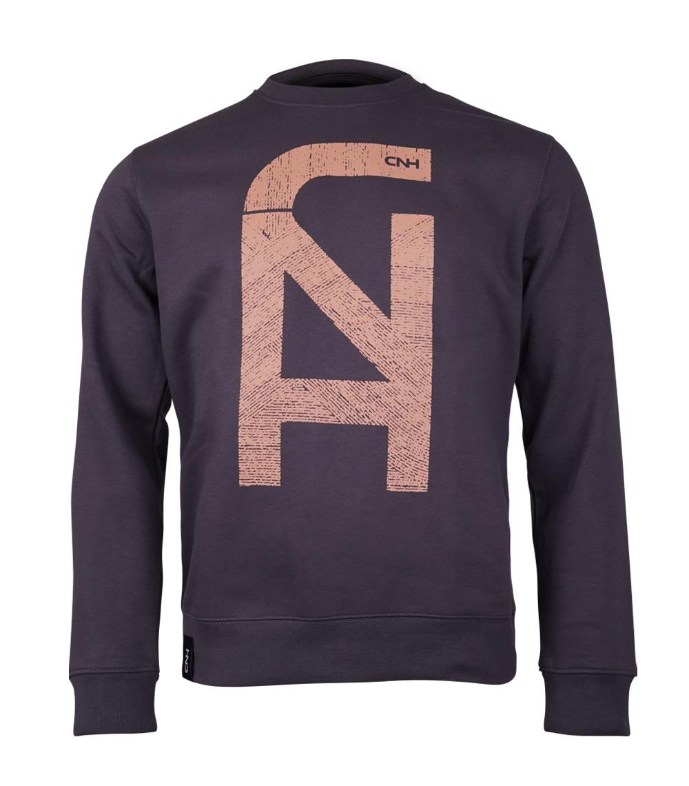 Sweatshirt "Terra", grau, (Herren)