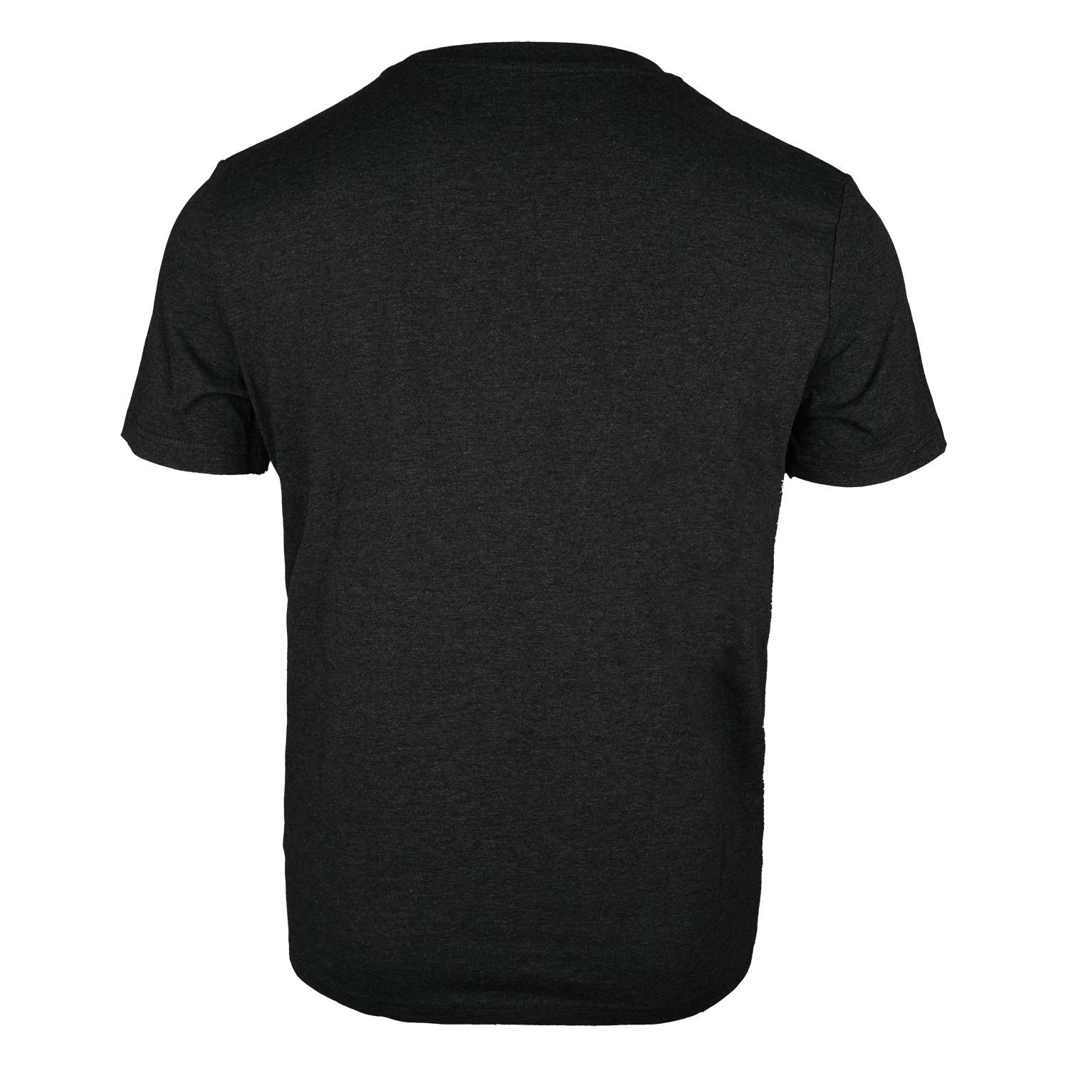T-Shirt "Case IH", grau, (Unisex)